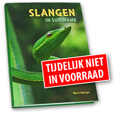 Slangen in Suriname